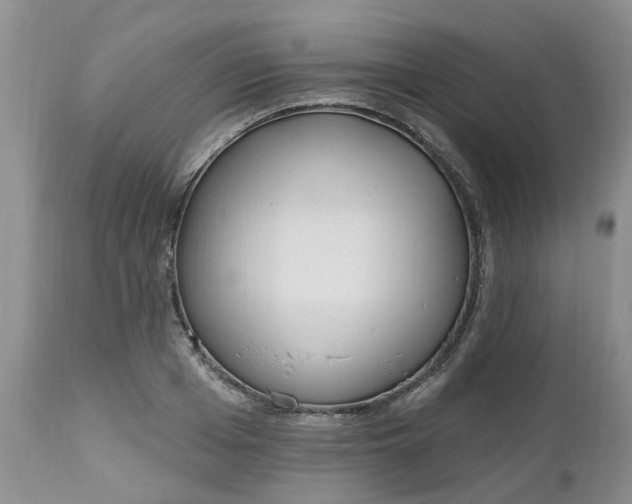 X0000112540985200908311442
