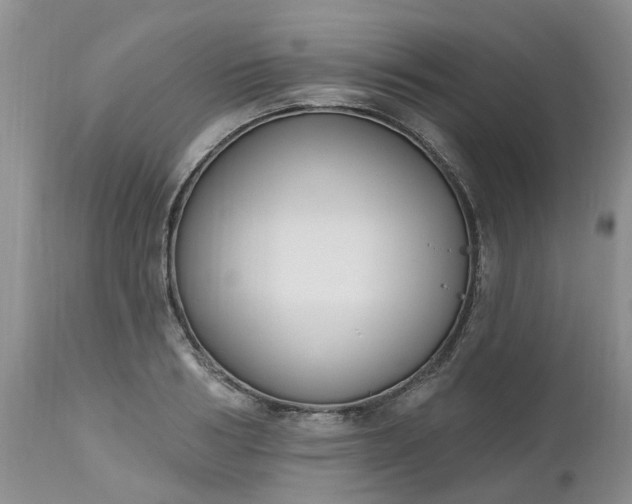 X0000112540986200908311442