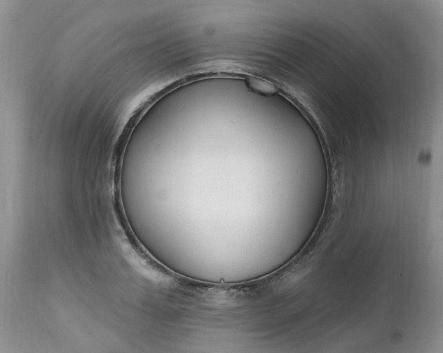 X0000112540987200908311442