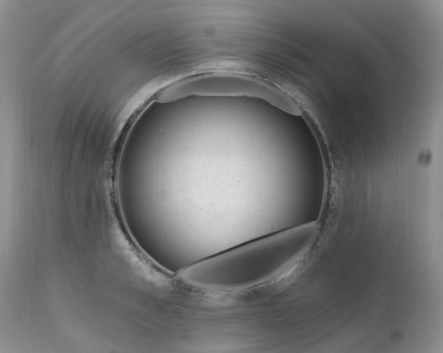 X0000112540989200908311442