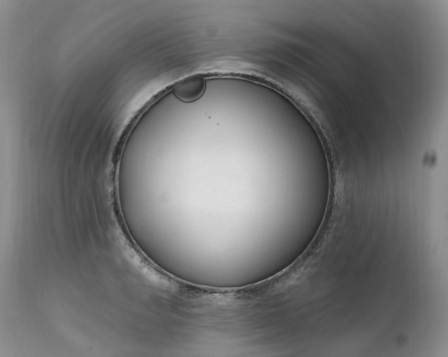 X0000112540990200908311442