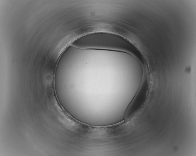 X0000112540993200908311442