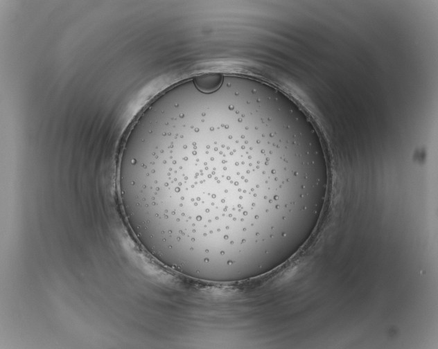 X0000112540994200908311442