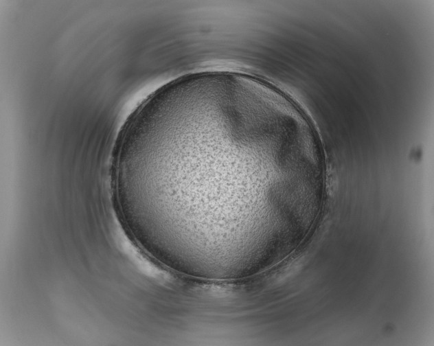 X0000112540995200908311442