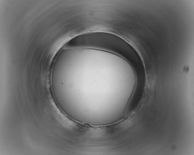 X0000112540997200908311442