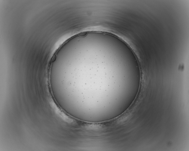 X0000112540998200908311442