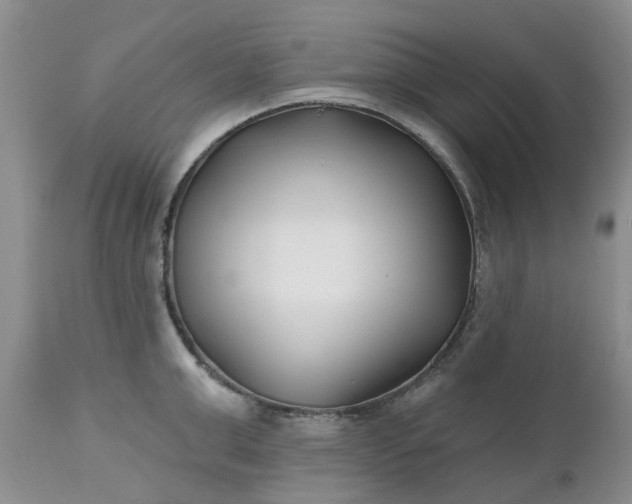 X0000112540999200908311442