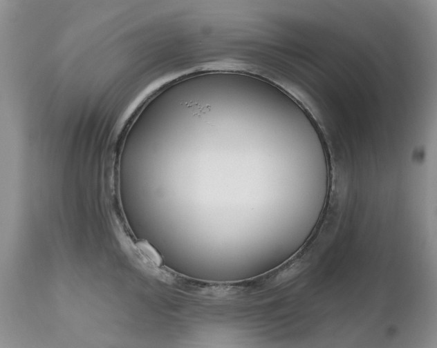 X0000112541000200908311442