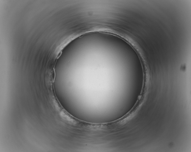 X0000112541001200908311442