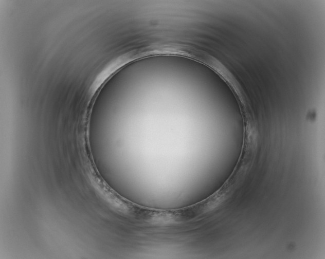 X0000112541002200908311442