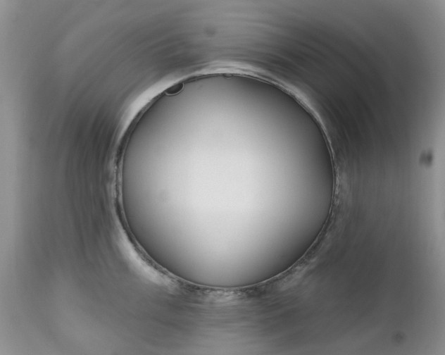 X0000112541003200908311442