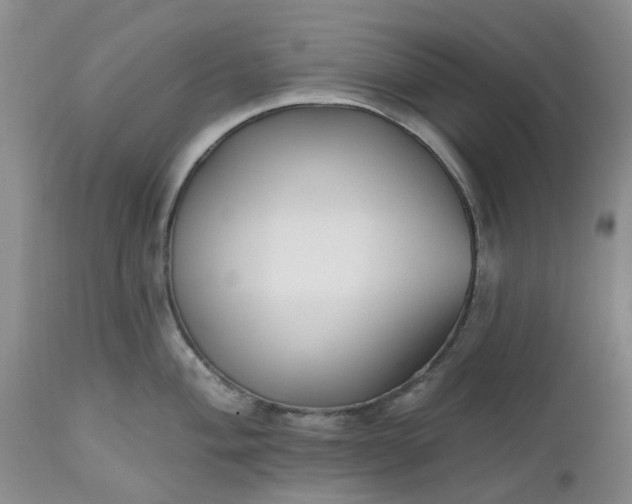 X0000112541004200908311442
