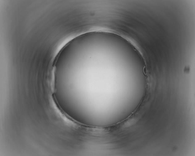 X0000112541007200908311442