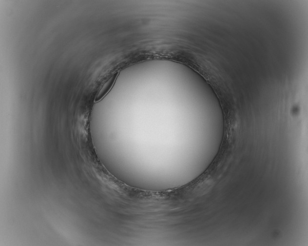 X0000112541010200908311441