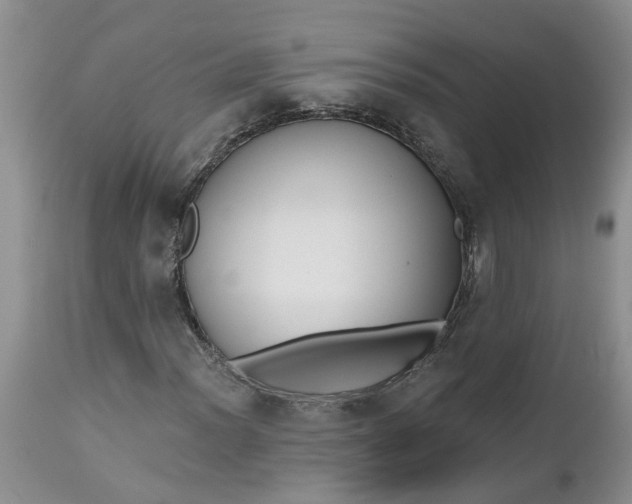 X0000112541012200908311441