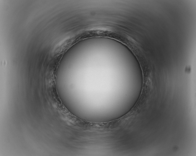 X0000112541014200908311441
