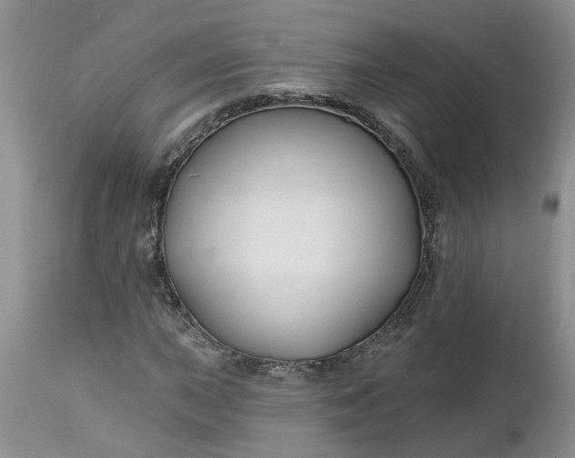 X0000112541015200908311441