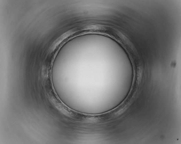 X0000112541017200908311441