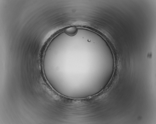 X0000112541022200908311441