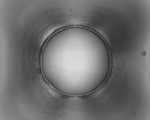 X0000112541023200908311441