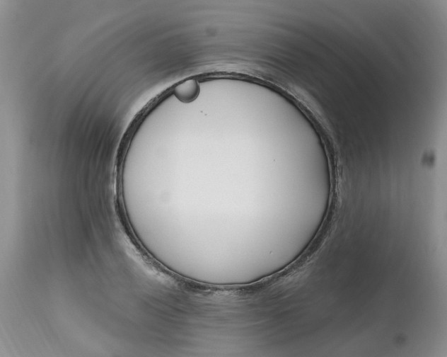 X0000112541028200908311441