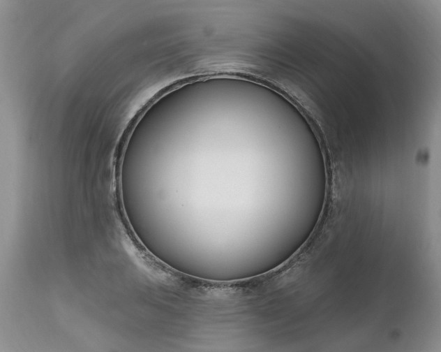 X0000112541031200908311441