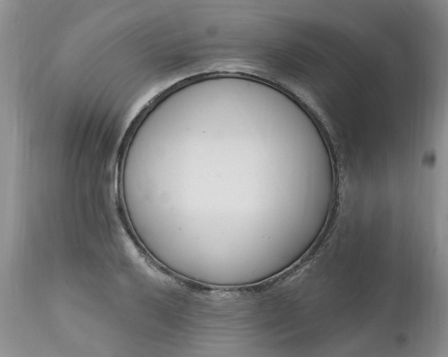 X0000112541032200908311441