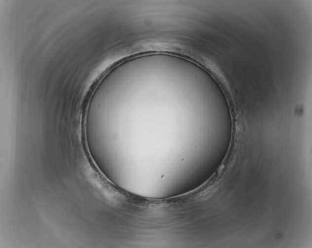 X0000112541035200908311441