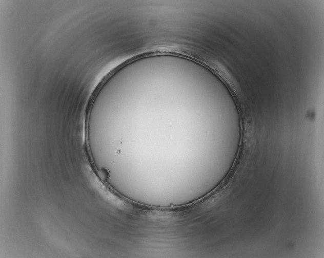 X0000112541036200908311441
