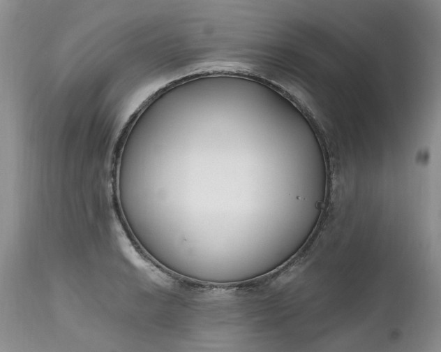 X0000112541038200908311442