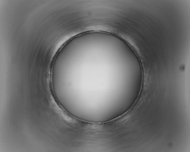 X0000112541040200908311442