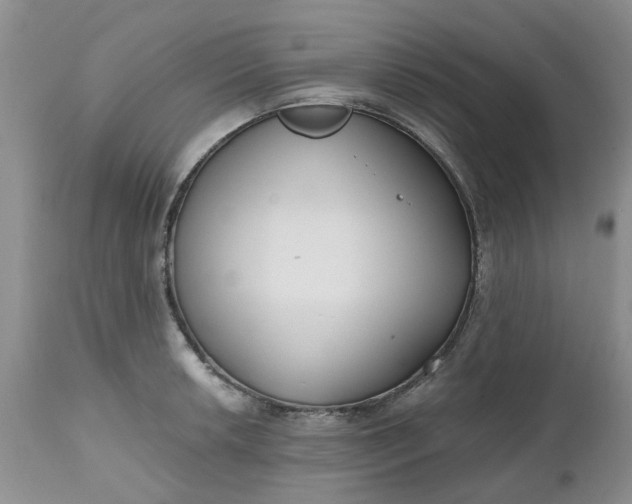 X0000112541042200908311442