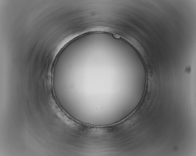 X0000112541044200908311442