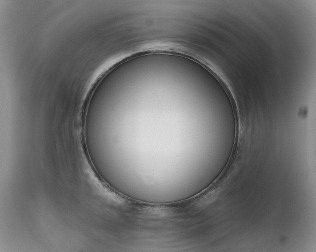X0000112541045200908311442