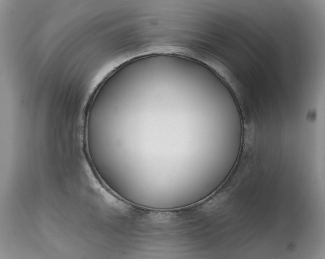 X0000112541046200908311442