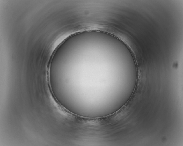 X0000112541047200908311442
