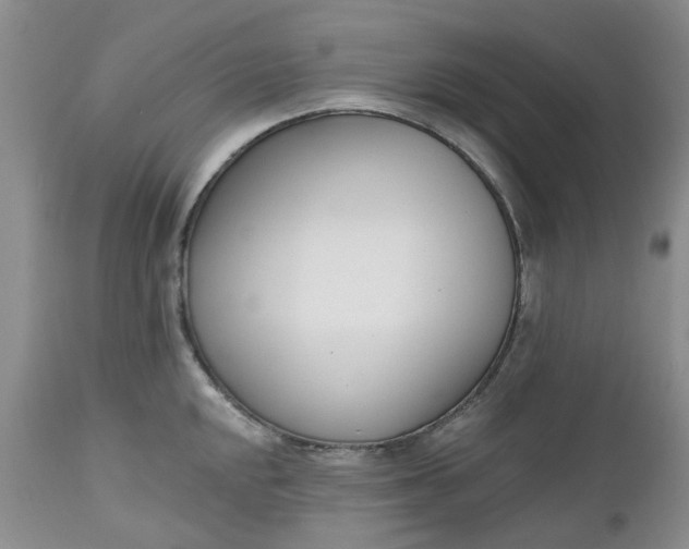 X0000112541048200908311442