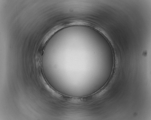 X0000112541049200908311442