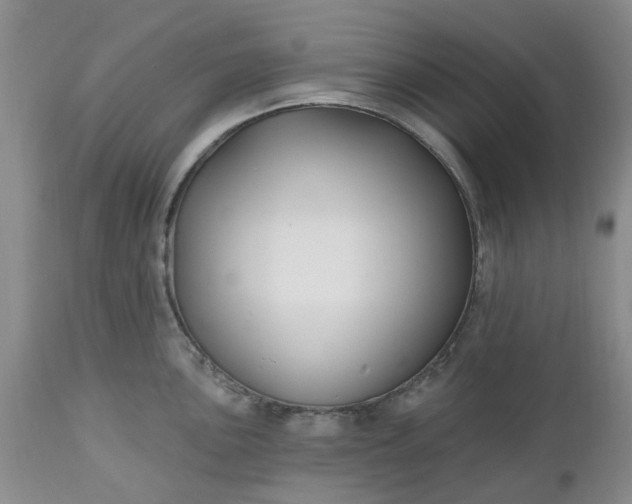 X0000112541051200908311442
