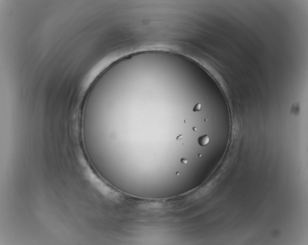 X0000112541054200908311442