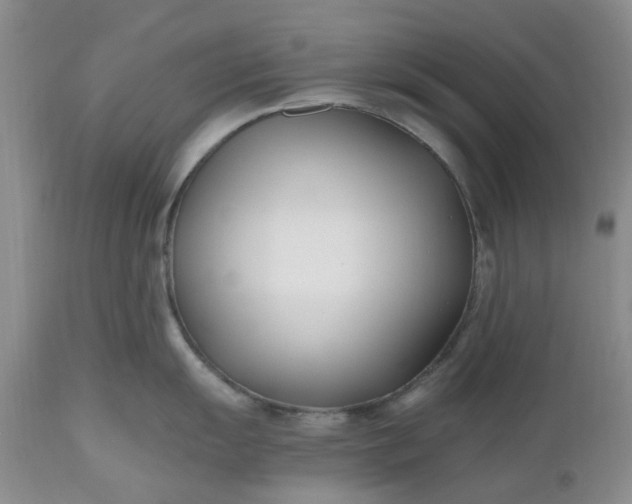 X0000112541055200908311442