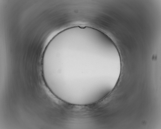 X0000112541056200908311442