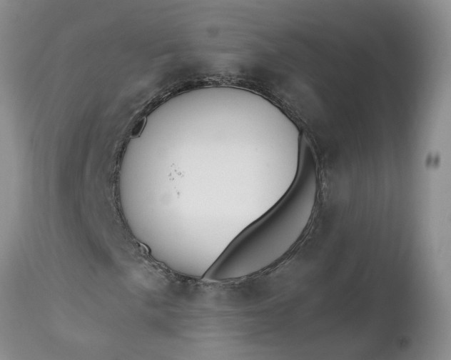 X0000112541057200908311441