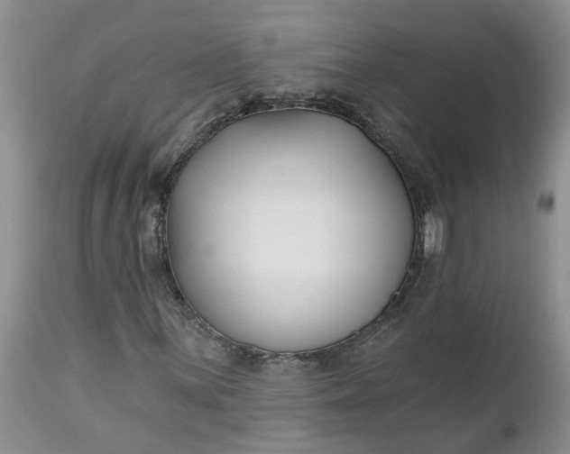 X0000112541059200908311441