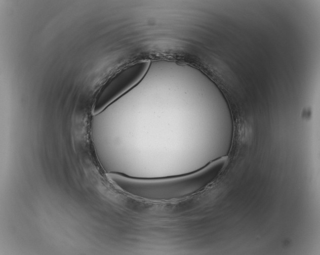 X0000112541060200908311441
