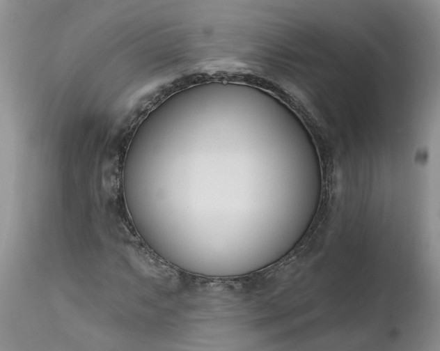 X0000112541063200908311441