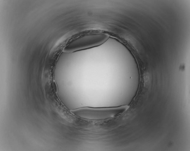 X0000112541064200908311441
