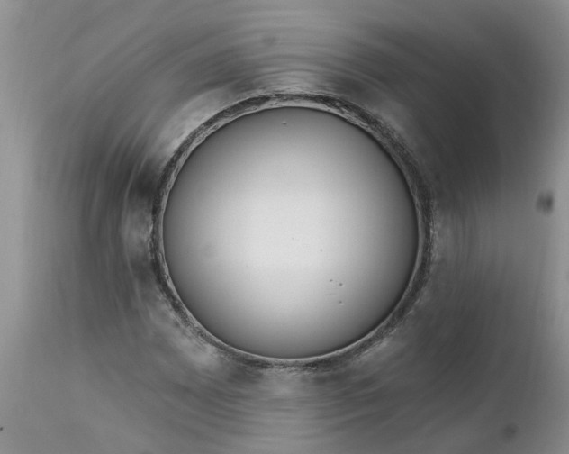 X0000112541065200908311441