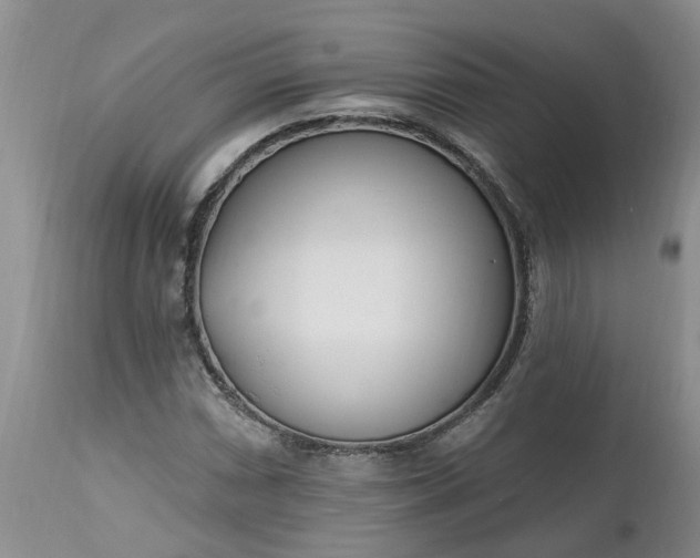 X0000112541066200908311441