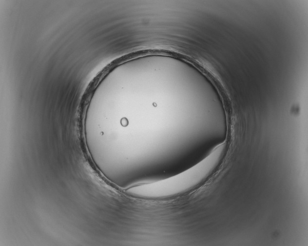 X0000112541068200908311441